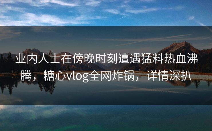 业内人士在傍晚时刻遭遇猛料热血沸腾，糖心vlog全网炸锅，详情深扒