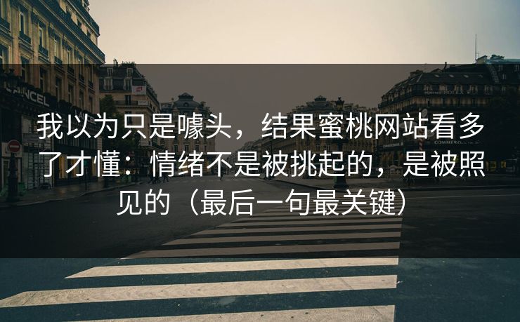 我以为只是噱头,结果蜜桃网站看多了才懂:情绪不是被挑起的,是被照见的(最后一句最关键)