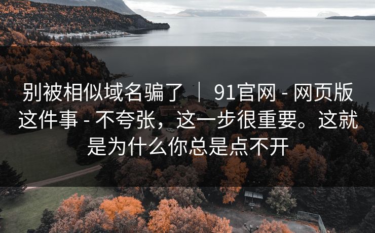 别被相似域名骗了 ｜ 91官网 - 网页版这件事 - 不夸张，这一步很重要。这就是为什么你总是点不开