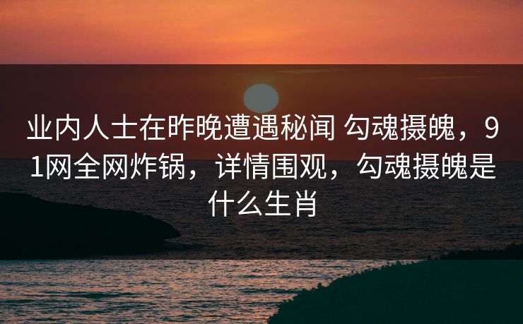 业内人士在昨晚遭遇秘闻 勾魂摄魄，91网全网炸锅，详情围观，勾魂摄魄是什么生肖